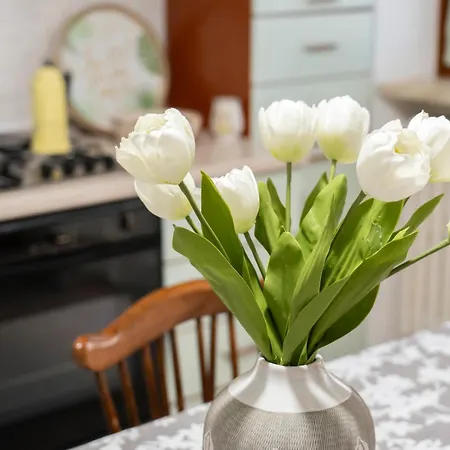 Apulia Rose 4 Bedrooms Lecce